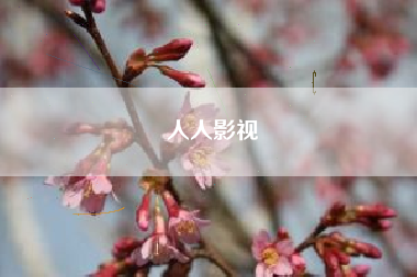 人人影视