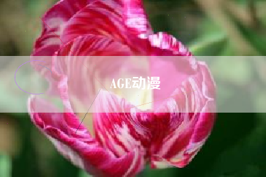 AGE动漫