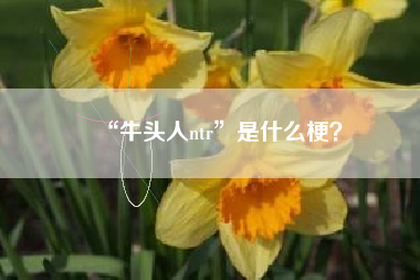 “牛头人ntr”是什么梗？
