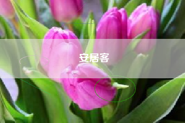 安居客