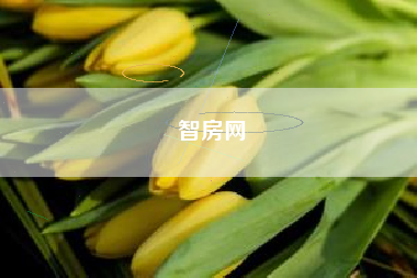 智房网