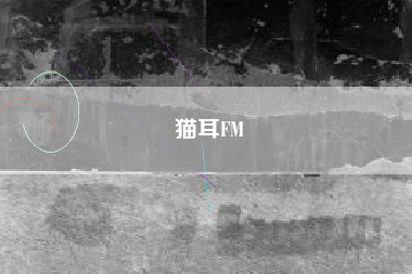 猫耳FM