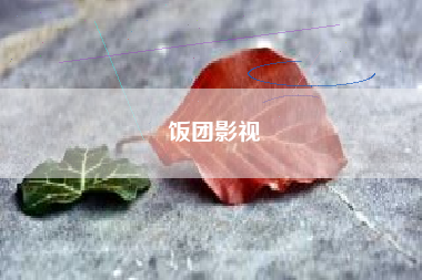 饭团影视