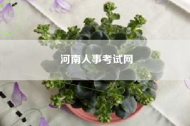 河南人事考试网