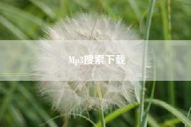 Mp3搜索下载