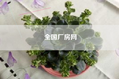 全国厂房网