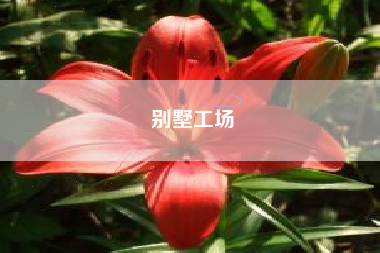 别墅工场
