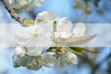 IDC联盟