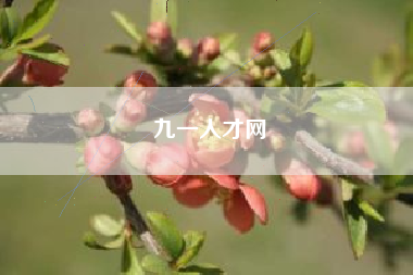 九一人才网