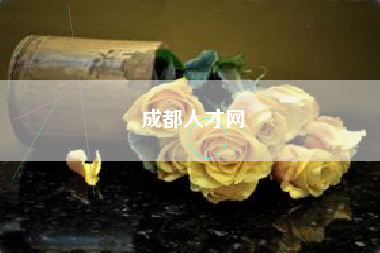 成都人才网