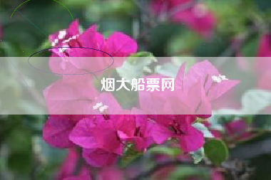 烟大船票网