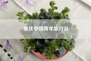重庆中国青年旅行社