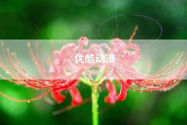 优酷动漫