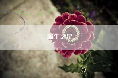 犀牛之星