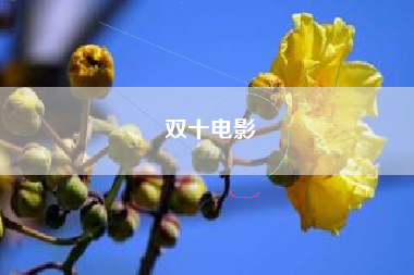 双十电影