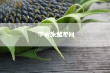 中青旅遨游网
