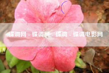 碟调网 - 碟调网 - 碟调 - 碟调电影网