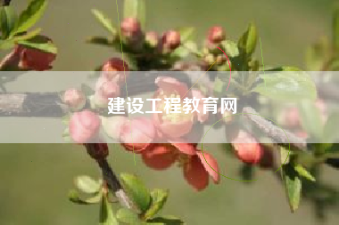 建设工程教育网