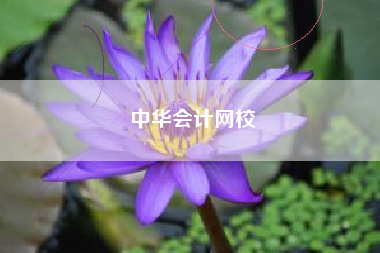 中华会计网校
