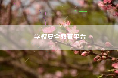 学校安全教育平台