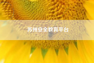 苏州安全教育平台