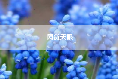 网贷天眼