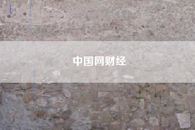 中国网财经