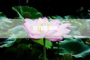 软件资源熊
