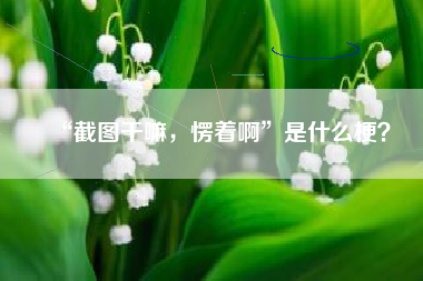“截图干嘛，愣着啊”是什么梗？
