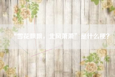 “雪花飘飘，北风萧萧”是什么梗？