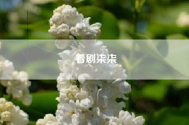 看剧柒柒