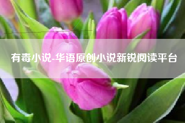 有毒小说-华语原创小说新锐阅读平台