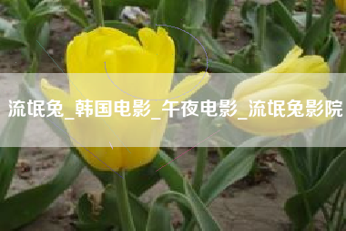 流氓兔_韩国电影_午夜电影_流氓兔影院