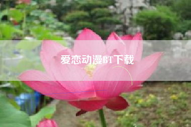 爱恋动漫BT下载