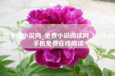 百书阁小说网_免费小说阅读网_TXT小说手机免费在线阅读