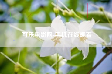 可乐电影网-手机在线观看