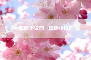 镇魂小说网 - 镇魂小说网
