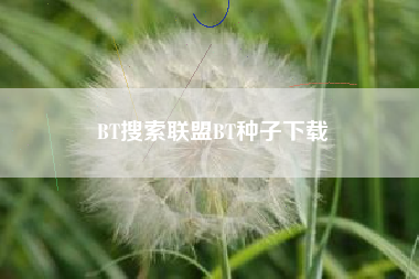 BT搜索联盟BT种子下载