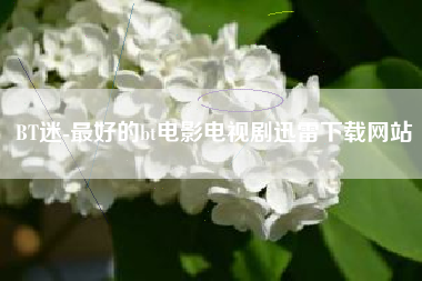 BT迷-最好的bt电影电视剧迅雷下载网站