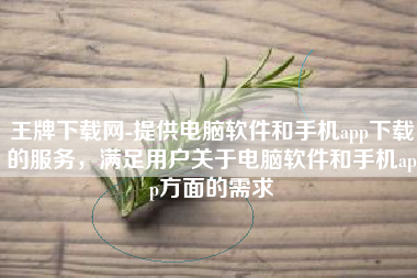 王牌下载网-提供电脑软件和手机app下载的服务，满足用户关于电脑软件和手机app方面的需求