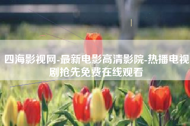四海影视网-最新电影高清影院-热播电视剧抢先免费在线观看