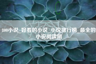 800小说_好看的小说_小说排行榜_最全的小说阅读网