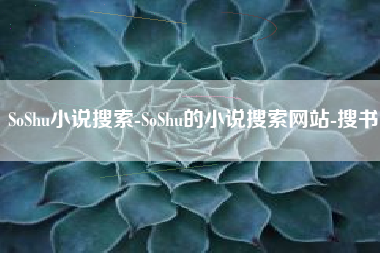 SoShu小说搜索-SoShu的小说搜索网站-搜书