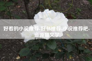 好看的小说推荐-好书推荐-小说推荐吧-资源猫文学