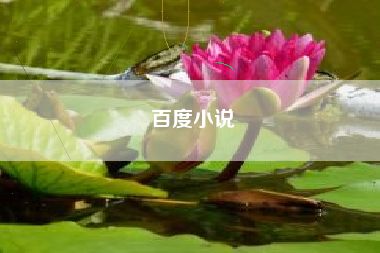 百度小说