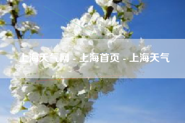上海天气网 - 上海首页 - 上海天气