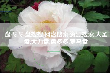 盘飞飞-盘搜搜,网盘搜索,资源搜索,大圣盘,大力盘,盘多多,罗马盘