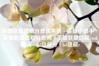 英雄联盟隐藏分查询系统 - 英雄小助手 - 英雄联盟隐藏分查询 - 英雄联盟隐藏rank查询 - lol隐藏分 - lol隐藏r