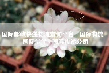 国际邮政快递物流查询平台 - 国际物流 - 国际货代 - 国际快递公司