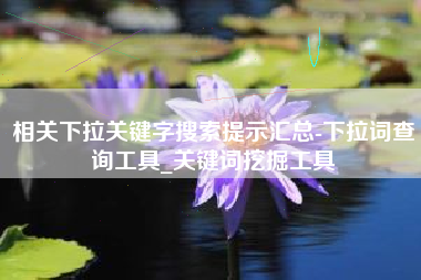 相关下拉关键字搜索提示汇总-下拉词查询工具_关键词挖掘工具